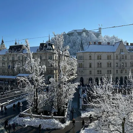 Triple Bridge アパート