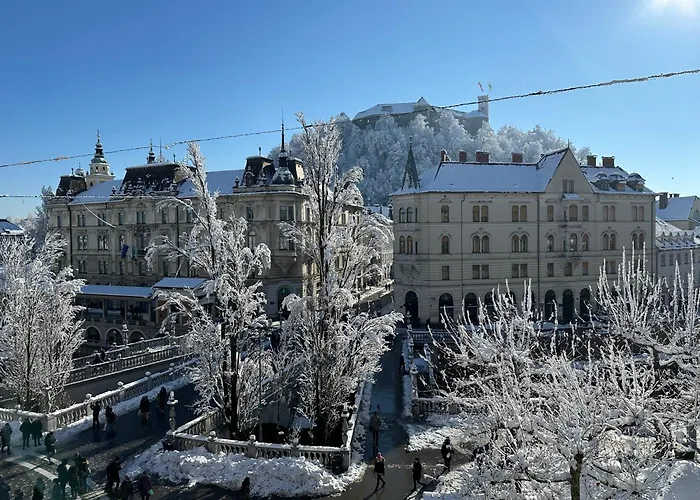 Triple Bridge アパート