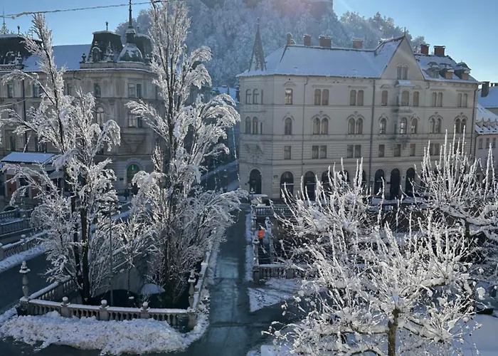 Triple Bridge アパート *