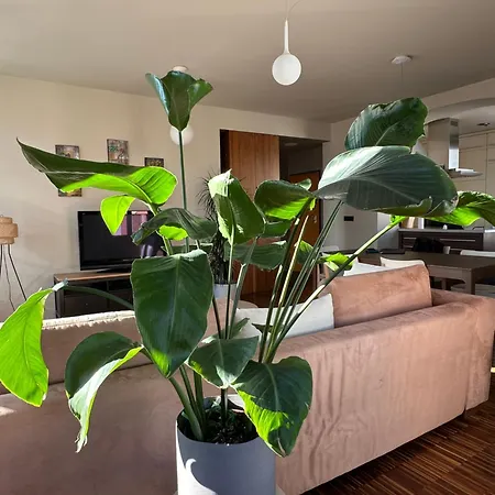 Triple Bridge Laibach