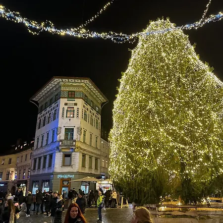 公寓 Triple Bridge