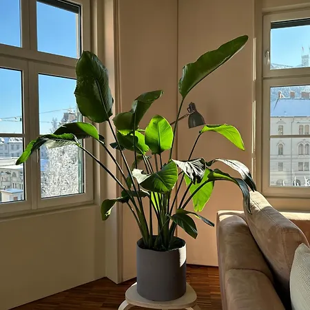 Triple Bridge Apartment
