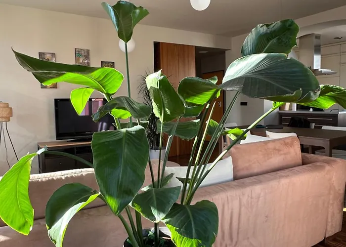 Triple Bridge ليوبليانا