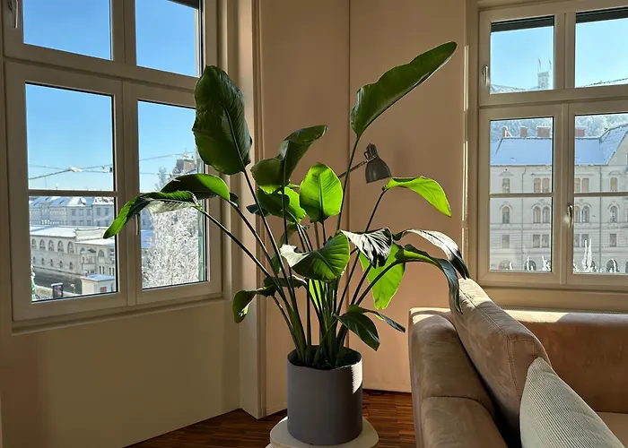 Triple Bridge Apartament